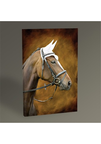 Kahverengi At Tablo 30 x 20