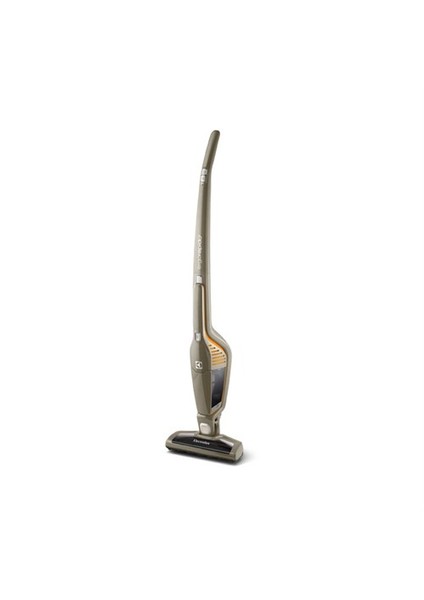 Ergorapido ERGO02 Cyclonic Sistemli 12 V Dikey Elektrikli Süpürge