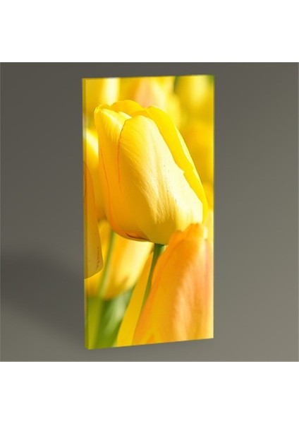 Sarı Lale Tablo 100X50