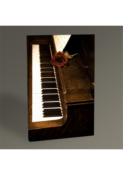 Piano Iı Tablo 45X30