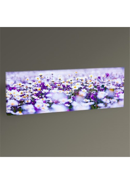Beyaz Papatlayalar Tablo 210X70