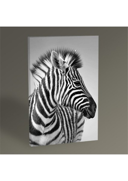 Zebra Tablo 45X30