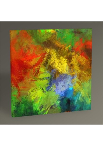 Renkli Soyut Yağlı Boya Tablo 30X30