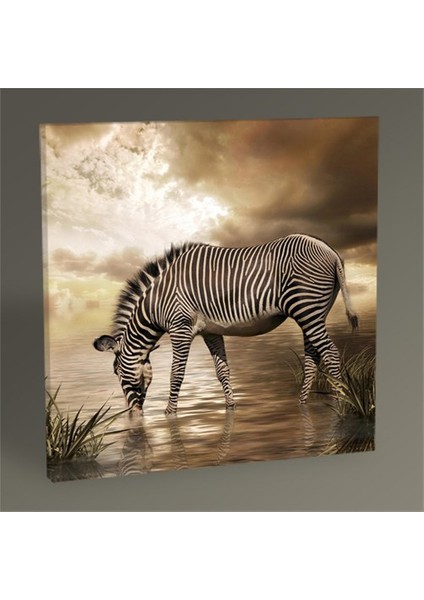 Zebra Tablo 30X30