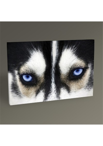 Dog Tablo 120X80