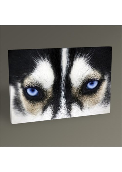 Dog Tablo 30 x 20