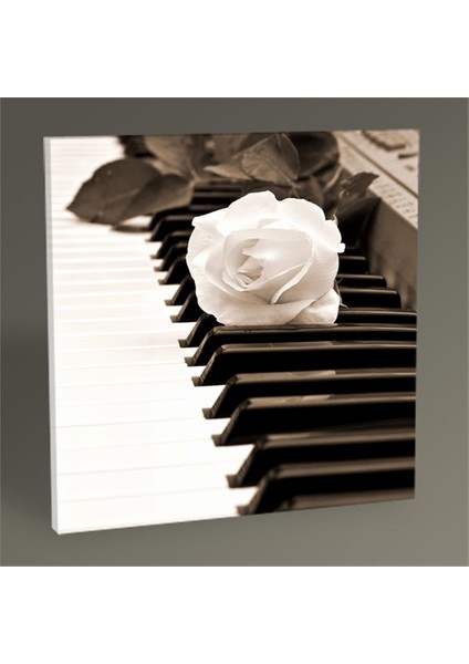 Piano Tablo 30X30