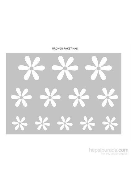 Papatyalar Sticker