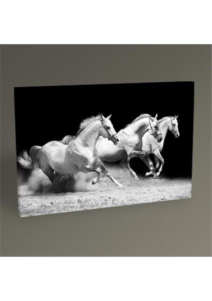 Beyaz Atlar Tablo 45X30