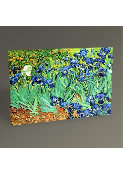 Vincent Van Gogh Süsenler Tablo 30 x 20