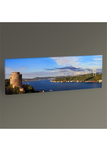 İstanbul Panorama Tablo 60X20