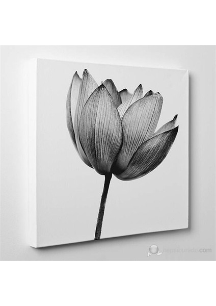 - Papaver Rhoeas Canvas Tablo - 60X60cm