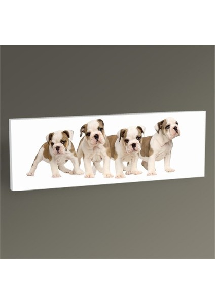 Köpek Yavruları Tablo 180X60