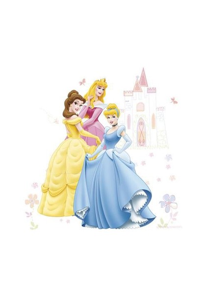 Princess Duvar Çıkartması(Maxı)