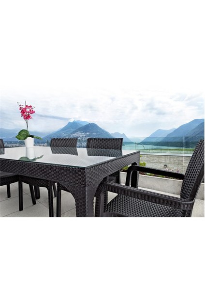 Rattan Plastik Oturma Grubu (90X150 Camlı Masa + 6 Rattan Koltuk) Rattan Sehpa Hediyeli modelleri