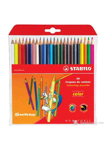 Color Standart Kuru Boya 24 Renk Askılı Paket