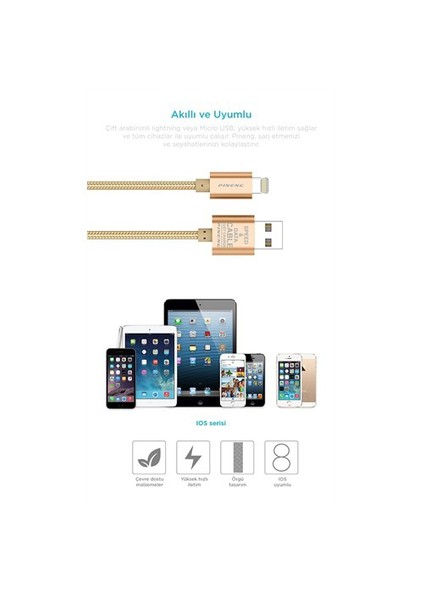 PN-305 iPhone Uyumlu Lightning 2 Metre Örgülü Altın Kablo