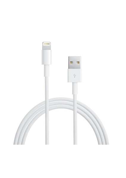 Apple iPhone Uyumlu 6 Plus/6/5S/5C/5 iPad Mini/iPad Air Lightning USB Kablo - EBX-614