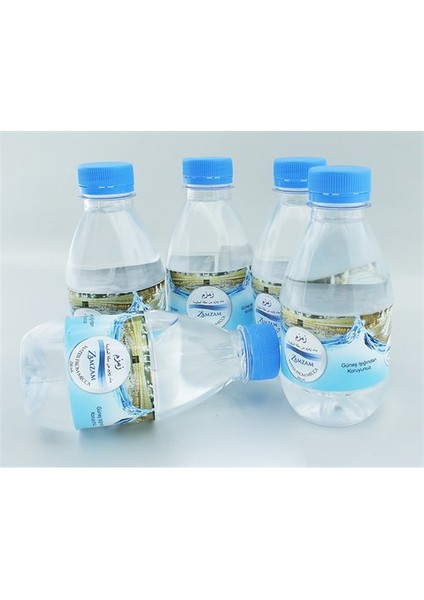 Hyd Zemzem Suyu 250 Ml