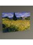 Vincent Van Gogh-Green Wheat Field With Cypress 30 x 20 1