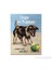 Nostalgic Art Dogs and Puppies Magnet 14316 1