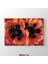 Georgia Okeeffe - Oriental Poppies Tablosu 1