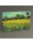 Vincent Van Gogh Arles Manzarası Tablo 45X30 1