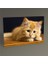 Kedi Tablo 30 x 20 1