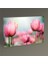 Tulips Tablo 75X50 1
