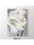 Georgia Okeeffe - Flower Tablosu 1