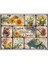 Nostalgic Art English Flower Garden Magnet Set (9 Parça) 1