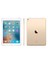 iPad Pro 32GB 9.7" WiFi+4G Altın Retina Ekranlı Tablet MLPY2TU/A 2