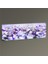 Beyaz Papatlayalar Tablo 210X70 1