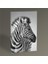 Zebra Tablo 45X30 1