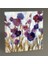 Dekoratif Çiçekler Tablo 40X40 1