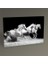 Beyaz Atlar Tablo 45X30 1