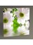 Beyaz Papatyalar Tablo 80X80 1