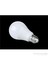 Led Ampul 8W E-27 Beyaz Işık 1