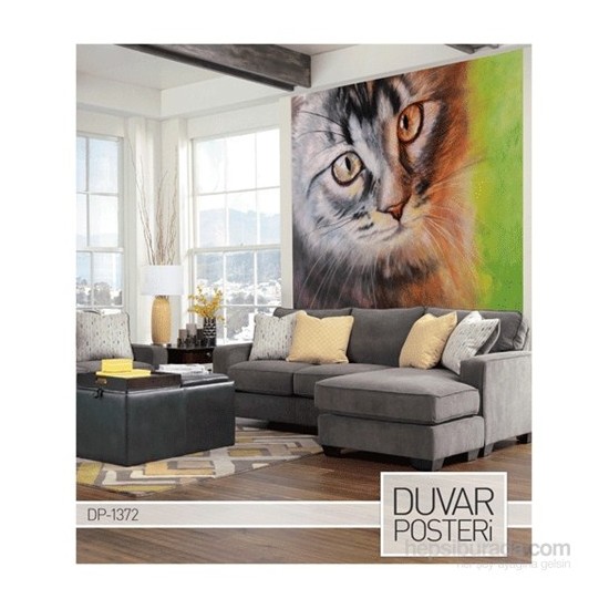 Kedi Duvar Poster Fiyatı, Taksit Seçenekleri ile Satın Al Kedi Duvar Poster Fiyatı, Taksit Seçenekleri ile Satın Al