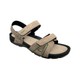  Renk Camel