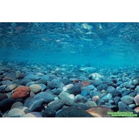 Canlı Petshop Arka Fon (Nehir Taşları) 50 cm Uzunluk Yükseklik 30
