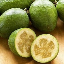 Reyon Feioja Sellowiana Kaymak Ağacı Fidanı, Saksıda