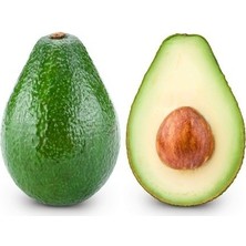 Reyon 4 Yaş Aşısız Bacon Avakado Fidanı, Torbada