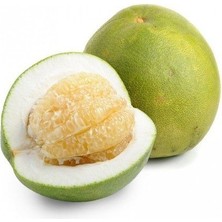 Reyon 3 Yaş Aşılı Ağaç Kavunu Fidanı, Torbada