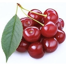 Reyon 3 Yaş Aşılı Vişne Fidanı Kütahya, Torbada