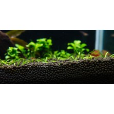 Canlı Petshop Bitki Toprağı Siyah Akvaryum Kumu 800GR