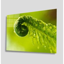 Idealizbiz Yeşil Cam Tablo 4mm Dayanıklı Temperli Cam