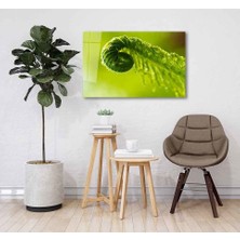 Idealizbiz Yeşil Cam Tablo 4mm Dayanıklı Temperli Cam