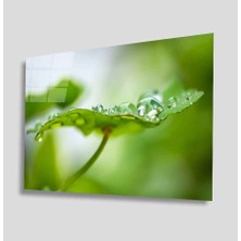 Idealizbiz Yeşil Cam Tablo 4mm Dayanıklı Temperli Cam