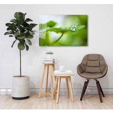 Idealizbiz Yeşil Cam Tablo 4mm Dayanıklı Temperli Cam